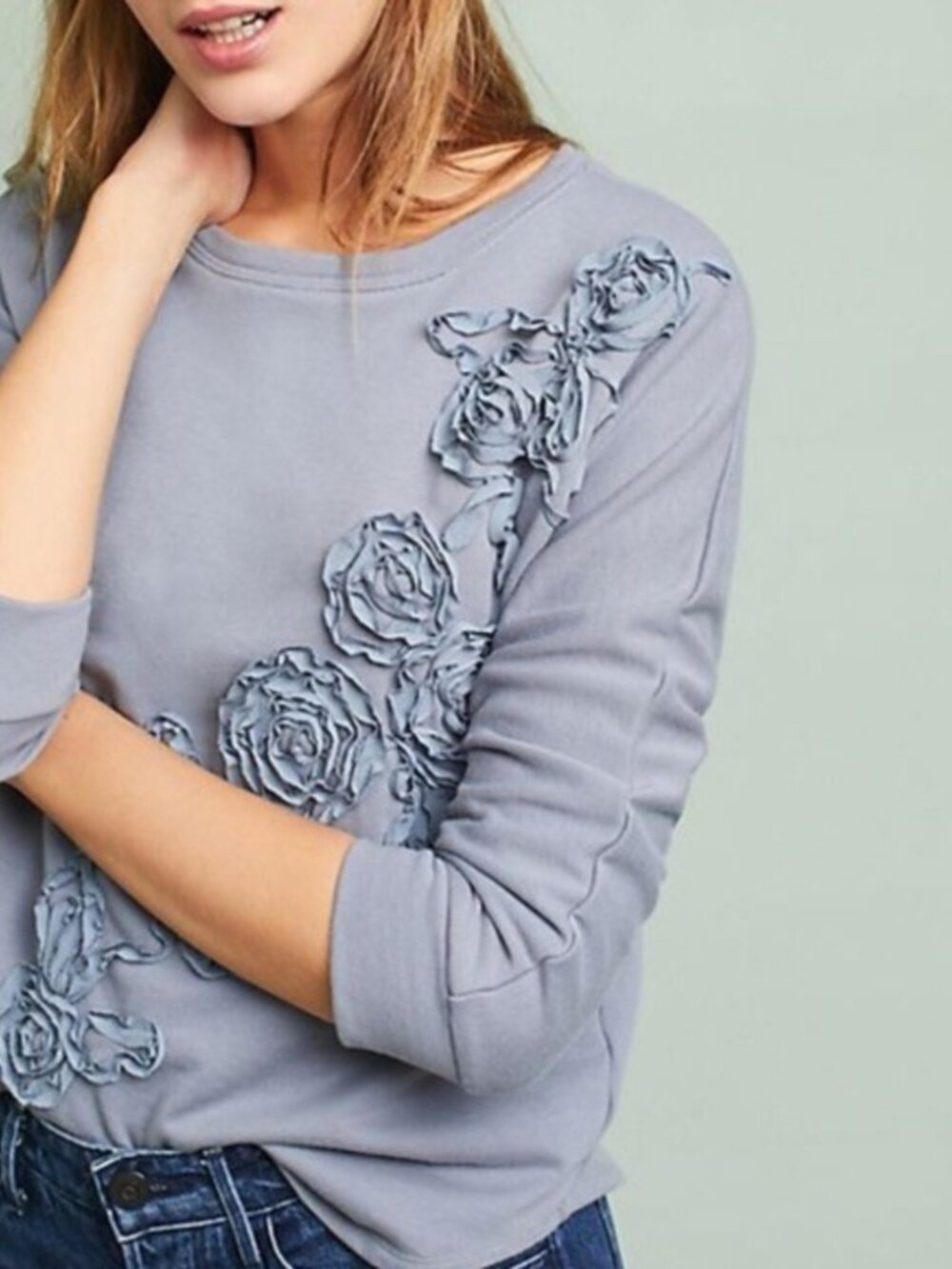 NWT ANTHROPOLOGIE: Ambrosi Periwinkle-Blue Applique Sweatshirt  XS